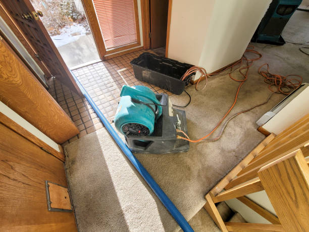 Best Basement water damage restoration  in Penn Yan, NY