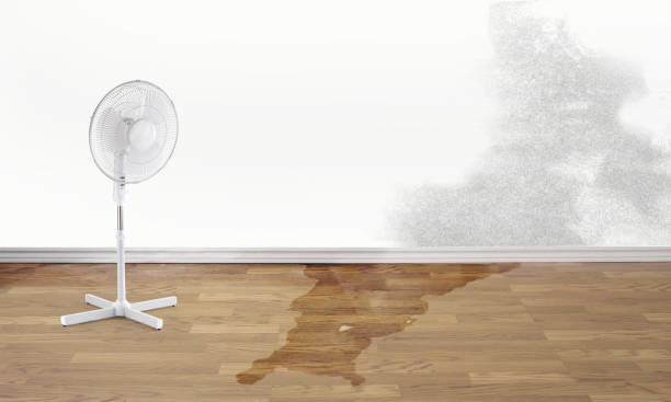 Best Sewage cleanup and water damage restoration  in Penn Yan, NY