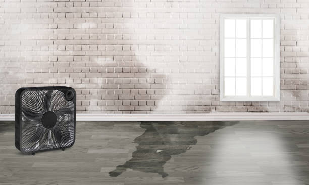 Best Flood restoration services  in Penn Yan, NY