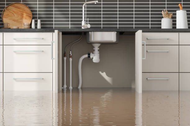 Best Local water damage restoration  in Penn Yan, NY