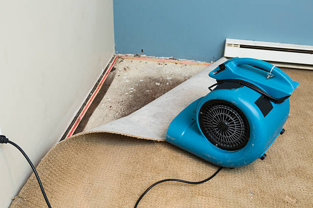 Best Flood damage cleanup  in Penn Yan, NY